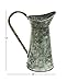 Deco 79 Metal Watering Can Indoor/Outdoor Planter, 10