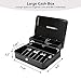 Cash Box by OSAFE (Black)
