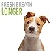 Natural Rapport Dog Mouthwash - The Only Doggy Mouthwash Dogs Need - Dog Breath Freshener Water Additive for Dental Care (16 fl oz.)