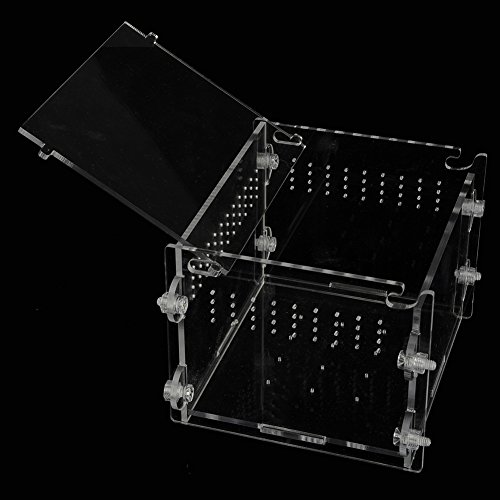image for OSHIDE Acrylic Transparent Reptiles Terrarium Container for Lizard Cha
