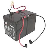 Razor Scooter Battery - 4.5Ah/20HR w/Reset Wires for Razor E100/E125(V16+), E150 (V6+), E175 (V1+) & eSpark Scooter by VICI - Includes Wire Harness!