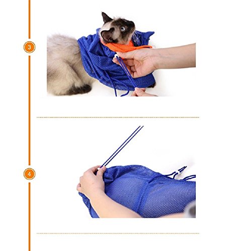 3 CatYou+Grooming+Polyester+Injecting+Examining