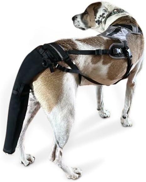 Photo 1 of K9 TailSaver: Large Happy Tail Protector for Labrador, Golden Retrieve, Pitty, Doodles – Check Size Chart Image for FIT, Large Set