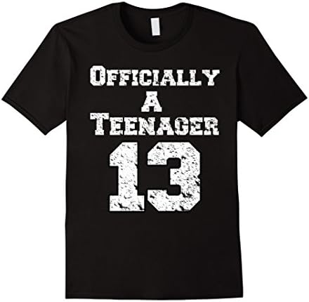 Mens Official Teenager T Shirt Funny 13yr old Birthday T Shirts Small Black