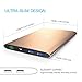 Vinsic 20000mAh Power Bank, Dual USB Portable External Battery Charger for Smartphones and Tablet PC, Golden
