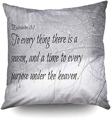 KIOAO Christmas Pillowcase Standard 18X18Inches Square for Cushion Home Decorative, Christian ecclesiastes Art Bible Verse Everything Season time Pillow Covers Printed with Both Sides of Cotton