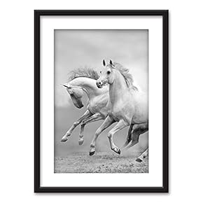 Framed Galloping Horses in Black White Black Picture...