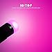 SIRIUSLED AG Super Bright 300 Lumen Ultra Compact LED Interior Light Bulb Size 168 175 194 2825 Pack of 4 Color Purple Hot Pink
