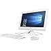 HP Pavilion 19.5in Dream Teal All-in-One Premium Flagship Desktop Computer (Intel Dual Core Celeron J3060 1.6GHz, 4GB RAM, 500GB HDD, DVD, HDMI, USB 3.0, Webcam, Wifi, Win 10)(Renewed)