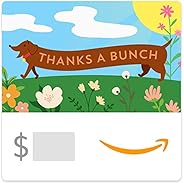 Amazon.com eGift Card
