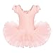 BAOHULU Leotard for Girls Ballet Dance Short Sleeve Full Tulle Tutu Skirted Dress Ballerina Costumes