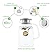 Glass Pitcher With Lid By Golden Spoon: Durable Glass Carafe With Airtight Cap - Microwave And Freezer Safe Borosilicate Glass For Hot And Cold Liquids - Comes With 2 Stirrers And A Strainer (60 oz)