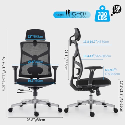 HOLLUDLE Ergonomic Office Chair with Adjustable Backrest, Depth Adjustable Seat, 4D Armrests, Lumbar Support and 2D Headrest, 360° Swivel, Modern Design, Black