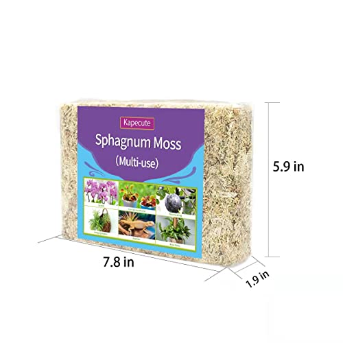 Kapecute 5oz Sphagnum Moss Perfect For Plant Propagation, Great Orchid