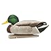 Avian-X Top Flight Fusion Mallards 8076
