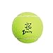 Zanies Puppy Pride Tennis Balls for Dogs, 6-Pack – 2.5-Inch Diameter Tennis Balls Match the Rainbow Pride Flag Colors