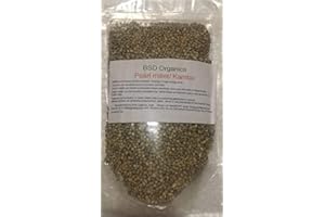 BSD Organics HealthY Pearl Millet/Kambu - 200 Gm / 7 Oz