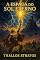 Livro A ESPADA DO SOL ETERNO