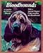 Bloodhounds (Complete Pet Owner's Manuals) by Kim Campbell Thornton