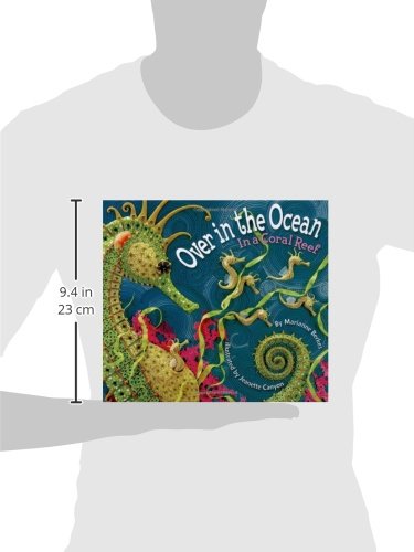 Over in the Ocean: In a Coral Reef