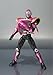 Bandai Tamashii Nations Raia 