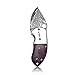 KUBEY KU66 Small Knife, Folding Knife and Pocket EDC, Drop Point Blade with Thumb Open, Rosewood Handle with Lanyard, for Outdoor Hunting Camping and Hiking (KU66-1)