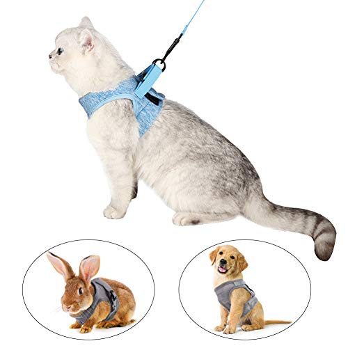 Kitten Cat Harness and Leash Set Ultra-Light Kitten Collar Soft and Comfortable Cat Walking Jacket with Running Cushioning and Anti-Escape Suitable for Puppies Rabbits with Cationic Fabric (M, Blue)