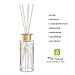 Creative Scents Bergamotto Essential Oil Reed Diffuser Sticks in Gift Box, Aromatherapy-Grade Oils Blend, Natural Scented Diffusing Kit, Non-Toxic Home Spa Fragrance Diffuser Set, 150 ML/5 Oz.