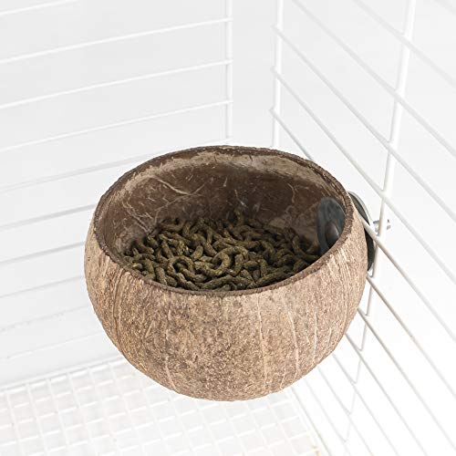 andwe Squirrels Feeder Coconut Feeding Bowl for Birds Chipmunk Wildlife - Outdoor Backyard Decor Accessories