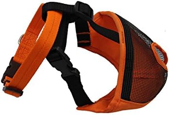 Short Snout Dog Muzzle, Orange
