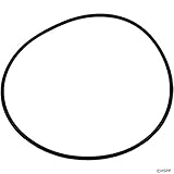 Pentair 271151 O-Ring, 2