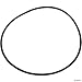 Pentair 271151 O-Ring, 2" Valve Top
