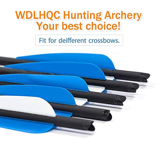 WDLHQC Arrows Archery Practice Hunting Arrows with Removable Tips(12Pcs/Pack) (Blue, 21)