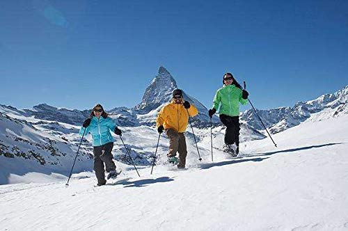 Ski Gloves Waterproof Snowboard Gloves,3M Thinsulate Winter Warm Snowmobile Cold Weather Gloves for Men &Women