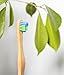 WooBamboo Small Breed Bamboo Pet Toothbrush