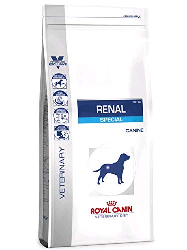 royal canin renal special cat