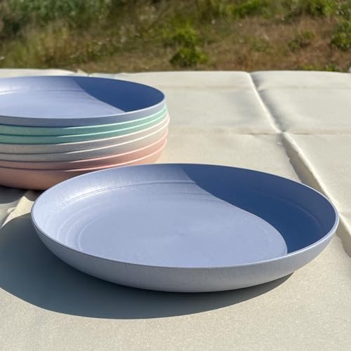 WEXINHAO Wheat Straw Plates 10 inch Plastic Plates Reusable