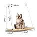 Cat Window Perch, Cat Hammock Window Seat,Sunny Seat Window Mounted Cat Bed cat Hammock Pet Save Space（Size:55x35cm）