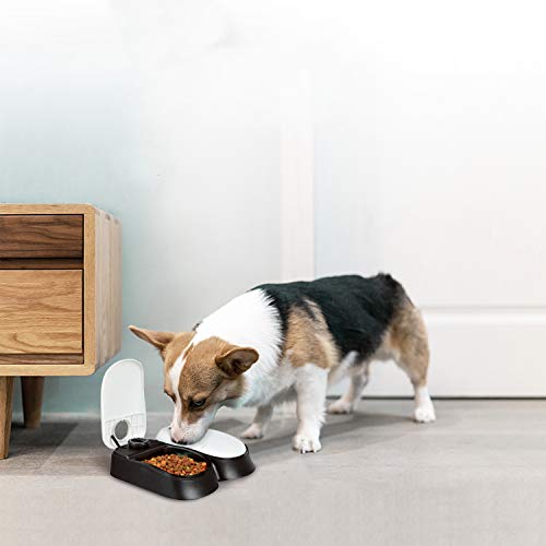 PAWISE Automatic Cat Feeders 2 Meal Automatic Dog Feeder,Dog / Cat Food