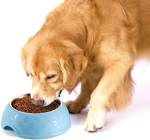 GRANDSEA Stainless Steel Dog Bowl for Food and Water, PP Pet Food Feeding Dishes-Dual Use Bowl for Big and Medium Cats and Dogs, Non Skid and Non Spill Pet Feeder
