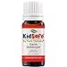 Plant Therapy KidSafe Destroyer Essential Oil Blend - Support Blend for Kids 100% Pure, Undiluted, Natural Aromatherapy, Therapeutic Grade 10 mL (1/3 oz)
