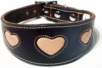 leather lurcher collar