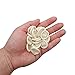 Medium Latex Finger Cots Anti Static Rubber Fingertip Protective Finger Cots 430 Pcs for Electronic Repair, Handmade Apply