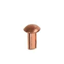 Aicosineg 200pcs 0.16" Length Copper Solid Rivets