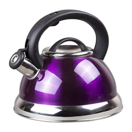 Creative Home Alexa 3.0 Quart Stainless Steel Whistling Tea Kettle Fast