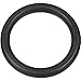 Intex Stepped Washer Gasket