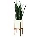 Fox & Fern Bamboo Plant Stand — 10 Inch Fixed Size Mid Century Plant Stand for Indoor Planters; Raised Flower Pot Holder for Indoors; Plug In Design; Two Height Options; Easy to Assemble - Bamboo