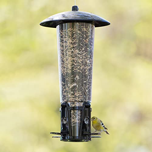 PerkyPet 3331SR SquirrelBeGone Max Large Wild Bird Feeder with