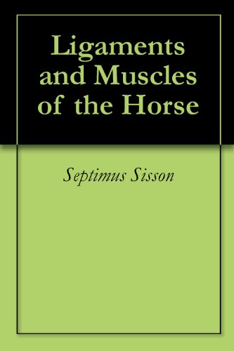 Ligaments and Muscles of the Horse