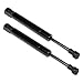 Maxpow 2pcs Compatible With Volkswagen Beetle Convertible Only 2003 2004 2005 2006 2007 2008 2009 2010 Rear Trunk Lid Lift Supports Struts SG401031 8196134